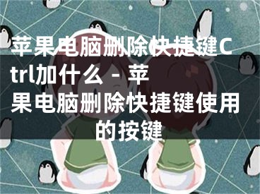 苹果电脑删除快捷键Ctrl加什么 - 苹果电脑删除快捷键使用的按键