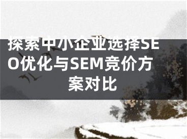 探索中小企业选择SEO优化与SEM竞价方案对比 