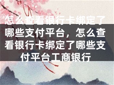 怎么查看银行卡绑定了哪些支付平台，怎么查看银行卡绑定了哪些支付平台工商银行