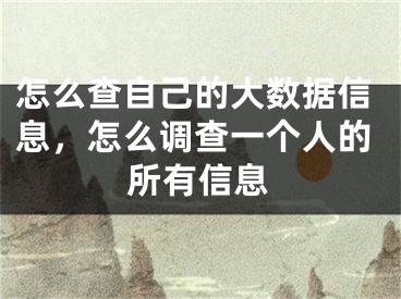 怎么查自己的大数据信息，怎么调查一个人的所有信息