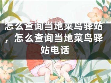 怎么查询当地菜鸟驿站，怎么查询当地菜鸟驿站电话