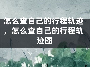 怎么查自己的行程轨迹，怎么查自己的行程轨迹图