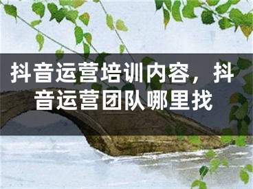 抖音运营培训内容，抖音运营团队哪里找