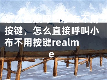 怎么直接呼叫小布不用按键，怎么直接呼叫小布不用按键realme