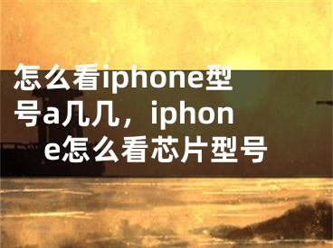 怎么看iphone型号a几几，iphone怎么看芯片型号