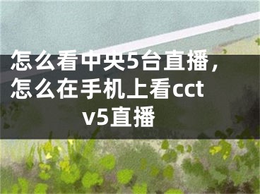 怎么看中央5台直播，怎么在手机上看cctv5直播