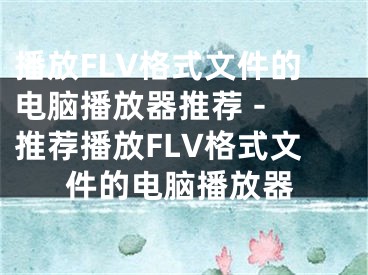 播放FLV格式文件的电脑播放器推荐 - 推荐播放FLV格式文件的电脑播放器