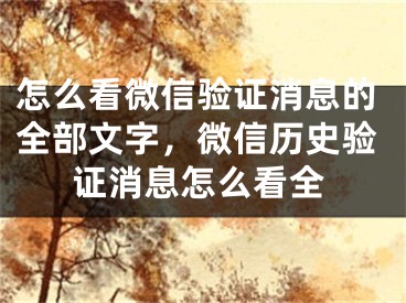 怎么看微信验证消息的全部文字，微信历史验证消息怎么看全