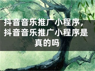 抖音音乐推广小程序，抖音音乐推广小程序是真的吗