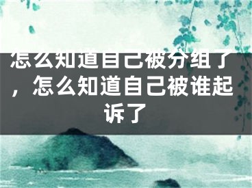 怎么知道自己被分组了，怎么知道自己被谁起诉了