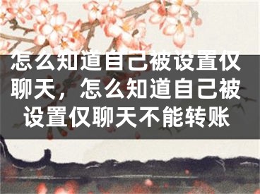 怎么知道自己被设置仅聊天，怎么知道自己被设置仅聊天不能转账