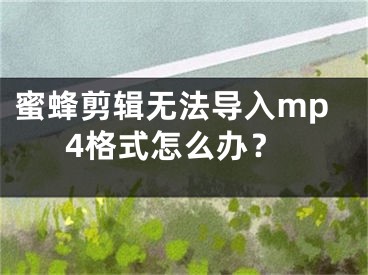 蜜蜂剪辑无法导入mp4格式怎么办？