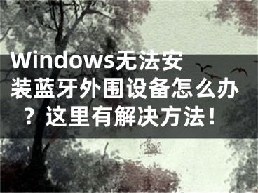 Windows无法安装蓝牙外围设备怎么办？这里有解决方法！