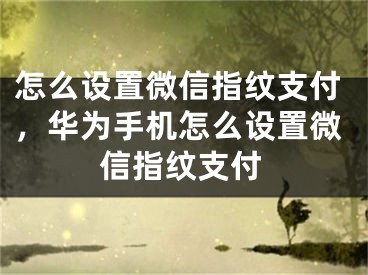 怎么设置微信指纹支付，华为手机怎么设置微信指纹支付