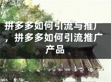 拼多多如何引流与推广，拼多多如何引流推广产品