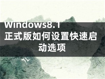 Windows8.1正式版如何设置快速启动选项