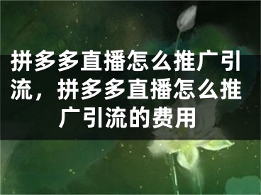 拼多多直播怎么推广引流，拼多多直播怎么推广引流的费用