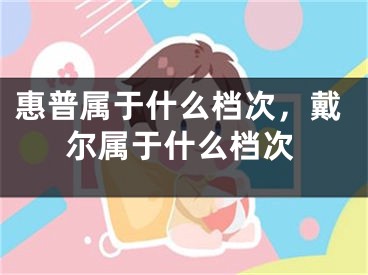 惠普属于什么档次，戴尔属于什么档次
