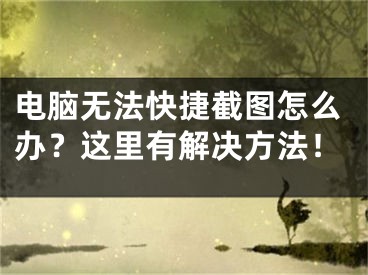 电脑无法快捷截图怎么办？这里有解决方法！