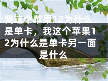 我这个苹果12为什么是单卡，我这个苹果12为什么是单卡另一面是什么