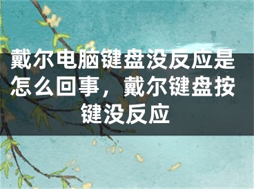 戴尔电脑键盘没反应是怎么回事，戴尔键盘按键没反应