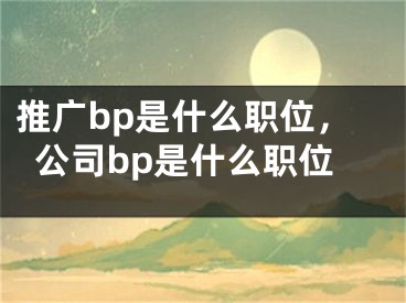 推广bp是什么职位，公司bp是什么职位