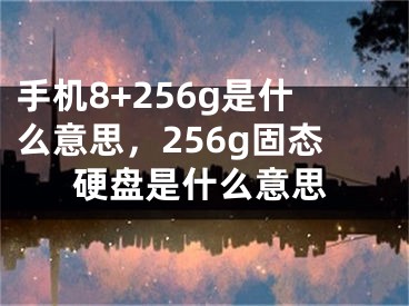 手机8+256g是什么意思，256g固态硬盘是什么意思