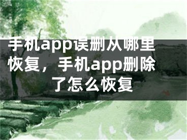 手机app误删从哪里恢复，手机app删除了怎么恢复