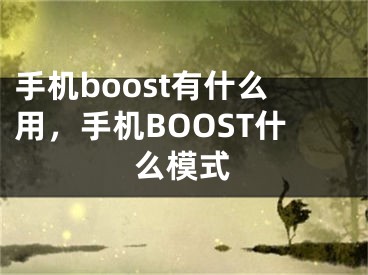 手机boost有什么用，手机BOOST什么模式