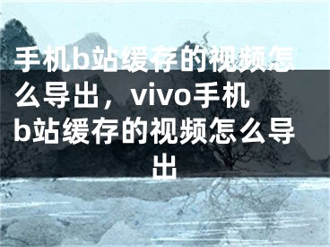 手机b站缓存的视频怎么导出，vivo手机b站缓存的视频怎么导出