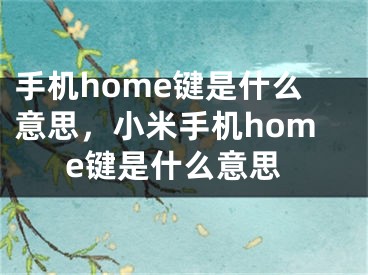 手机home键是什么意思，小米手机home键是什么意思