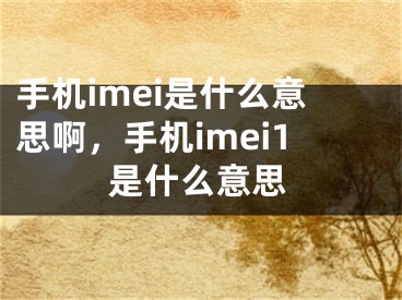 手机imei是什么意思啊，手机imei1是什么意思