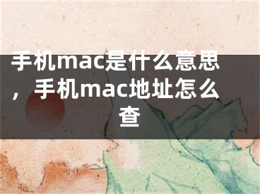 手机mac是什么意思，手机mac地址怎么查