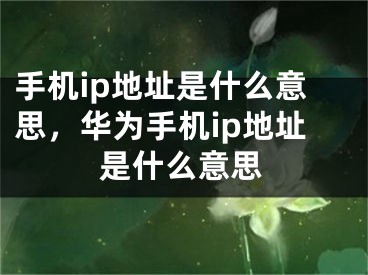 手机ip地址是什么意思，华为手机ip地址是什么意思