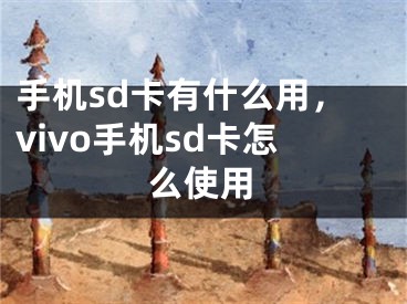 手机sd卡有什么用，vivo手机sd卡怎么使用