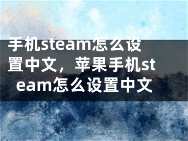 手机steam怎么设置中文，苹果手机steam怎么设置中文