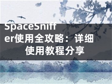 SpaceSniffer使用全攻略：详细使用教程分享