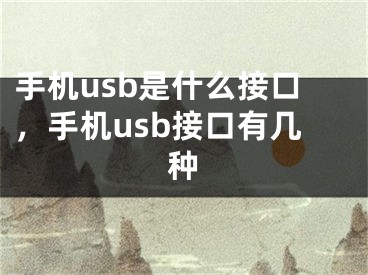 手机usb是什么接口，手机usb接口有几种