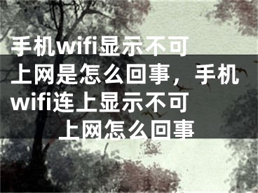 手机wifi显示不可上网是怎么回事，手机wifi连上显示不可上网怎么回事