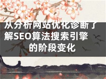 从分析网站优化诊断了解SEO算法搜索引擎的阶段变化 