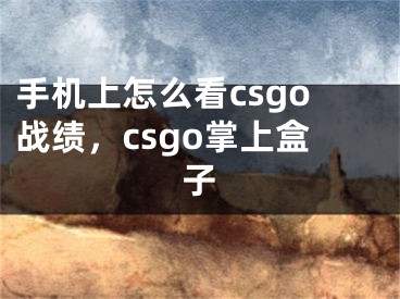 手机上怎么看csgo战绩，csgo掌上盒子