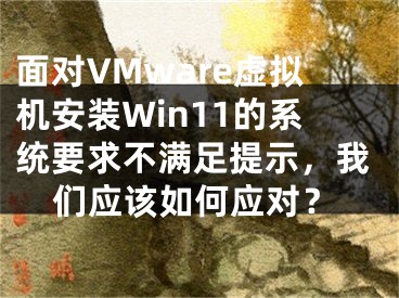 面对VMware虚拟机安装Win11的系统要求不满足提示，我们应该如何应对？