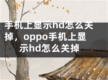 手机上显示hd怎么关掉，oppo手机上显示hd怎么关掉