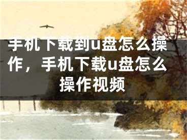 手机下载到u盘怎么操作，手机下载u盘怎么操作视频