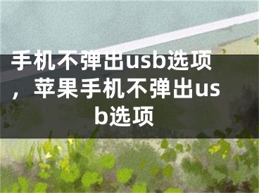 手机不弹出usb选项，苹果手机不弹出usb选项