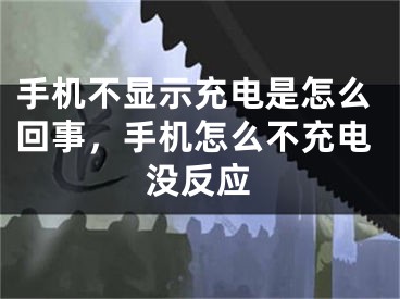 手机不显示充电是怎么回事，手机怎么不充电没反应