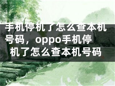 手机停机了怎么查本机号码，oppo手机停机了怎么查本机号码