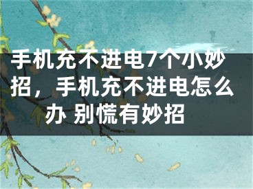 手机充不进电7个小妙招，手机充不进电怎么办 别慌有妙招