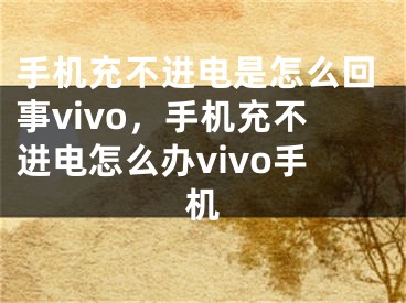 手机充不进电是怎么回事vivo，手机充不进电怎么办vivo手机