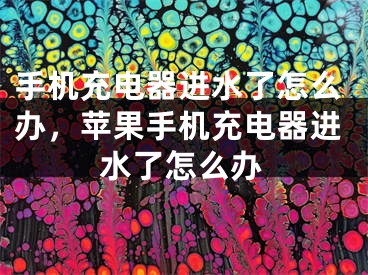 手机充电器进水了怎么办，苹果手机充电器进水了怎么办